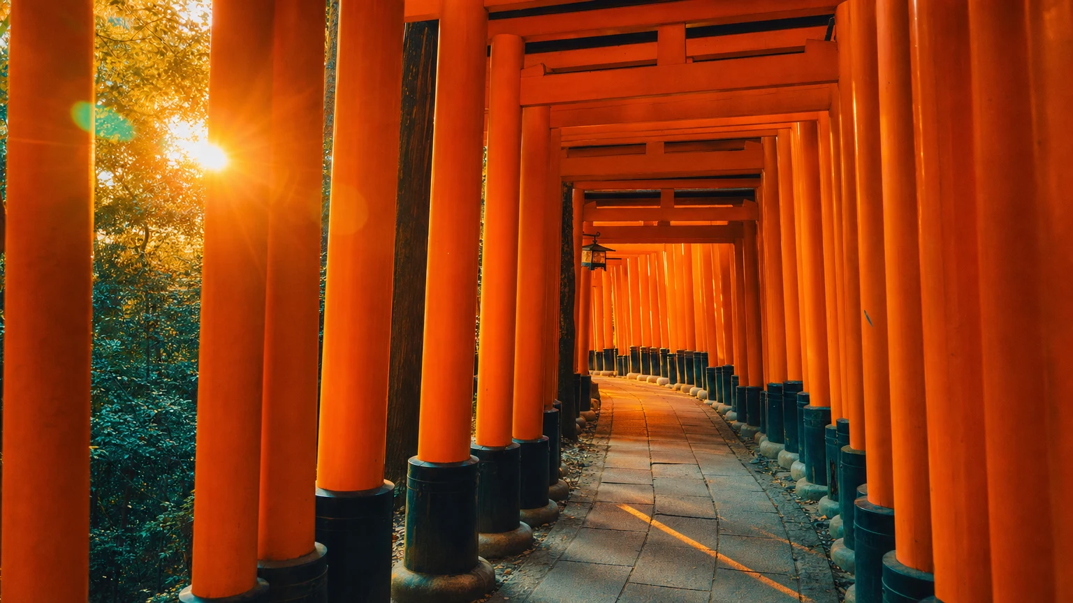 Golden-hour sunlight through the vermilion torii gates of Fushimi Inari shrine in Kyoto